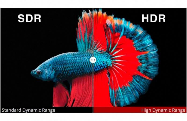 HDR – что такое технологии High Dynamic Range в телевизоре или камере